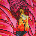 Pink Flamingo